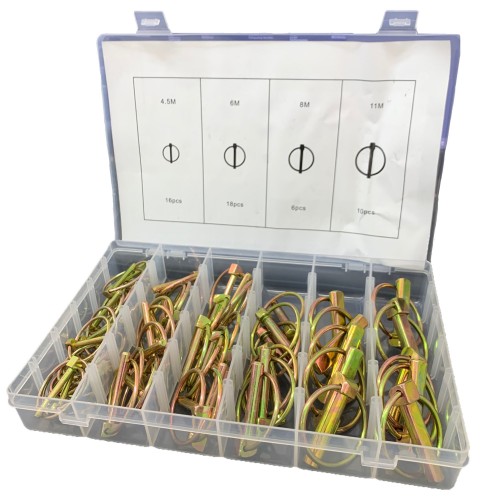 KIT 50 PCS PERNI DI FISSAGGIO CON BLOCCAGGIO ASSIALE VARIE MISURE CON CUSTODIA IN PLASTICA 
